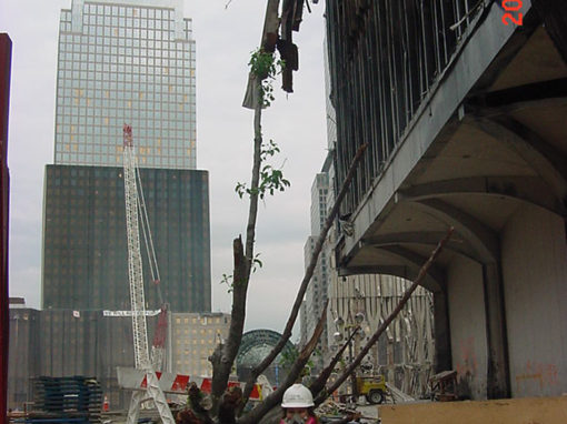 Rebecca Clough with Damaged Tree at Ground Zero