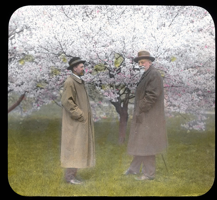 Plant explorer E. H. Wilson (left) poses with Charles Sprague Sargent in front of a Higan cherry tree (Prunus subhirtella) at the Arnold Arboretum in 1915.