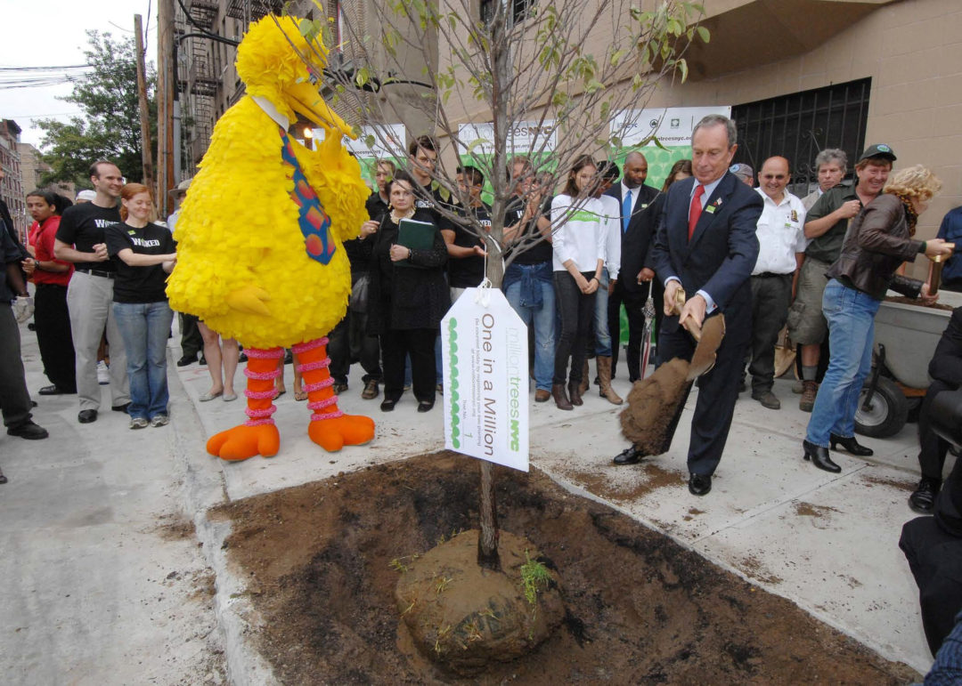 Big Bird watches as Mayor Michael Bloomberg plants the first tree of the MillionTreesNYC campaign on October 9, 2007.