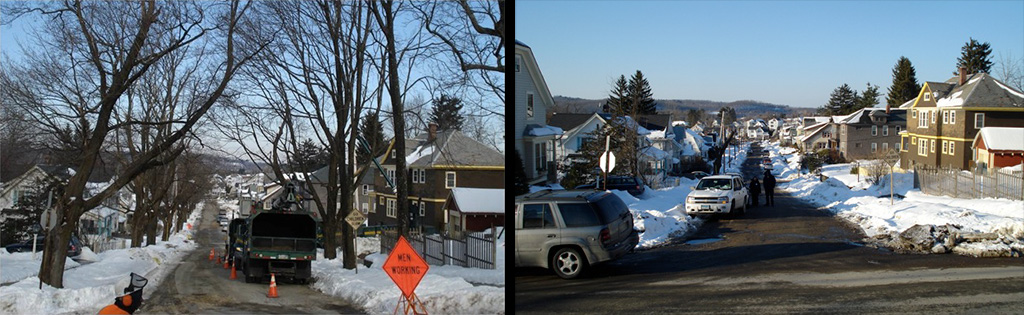 Before (left) and after (right) removing trees infested with Asian long-horned beetles on Granville Avenue in Worcester, Massachusetts, February 2009.